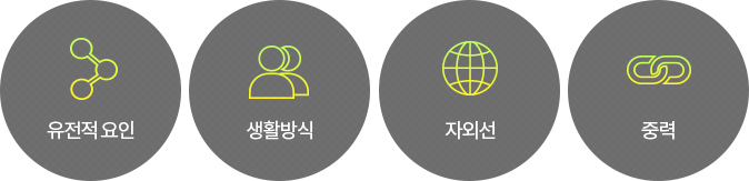 유전적요인,생활방식,자외선,중력